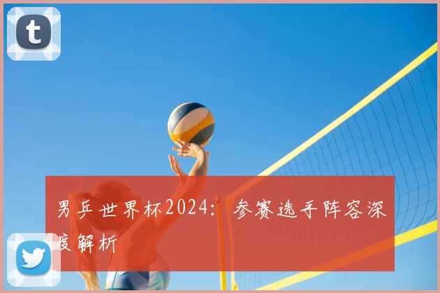 男乒世界杯2024：参赛选手阵容深度解析
