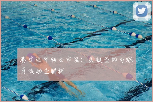 赛季法甲转会市场:关键签约与球员流动全解析